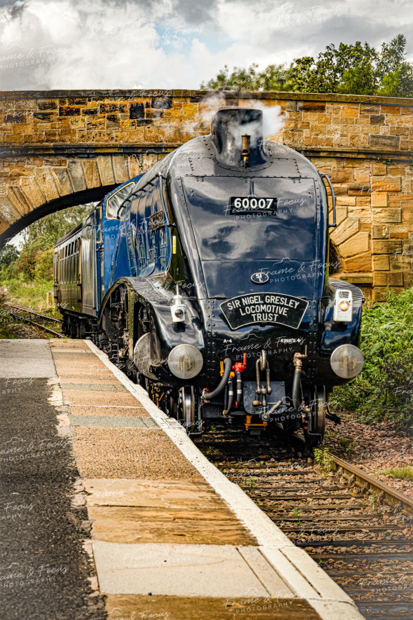 To buy a print or any of the below please click on the images